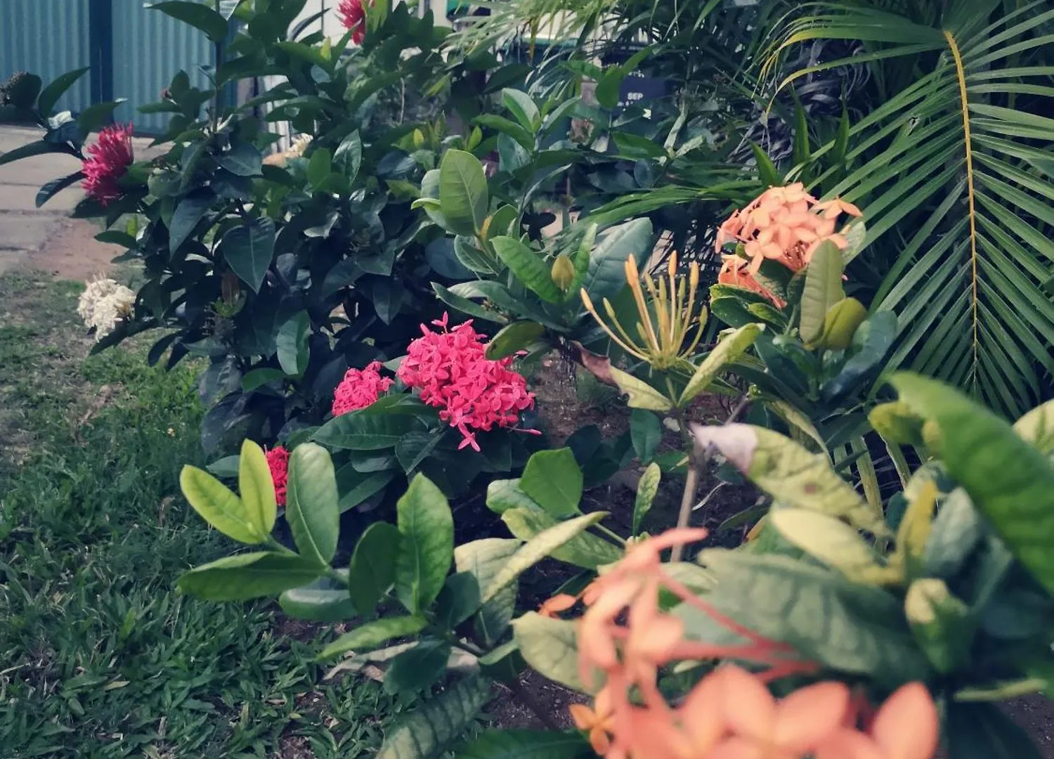 Hébergement de vacances Villa Lagoon Dream à Moorea Polynésie française