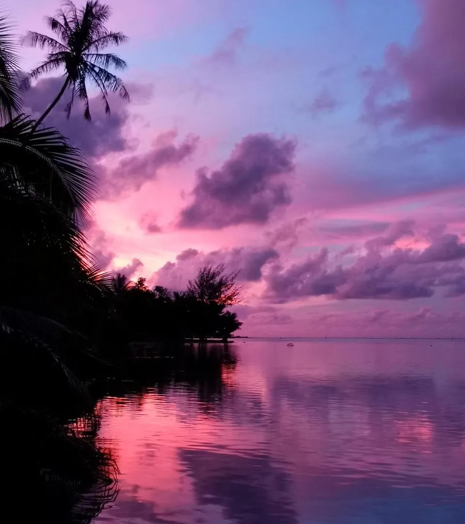 Villa Lagoon Dream à Moorea Hébergement de vacances