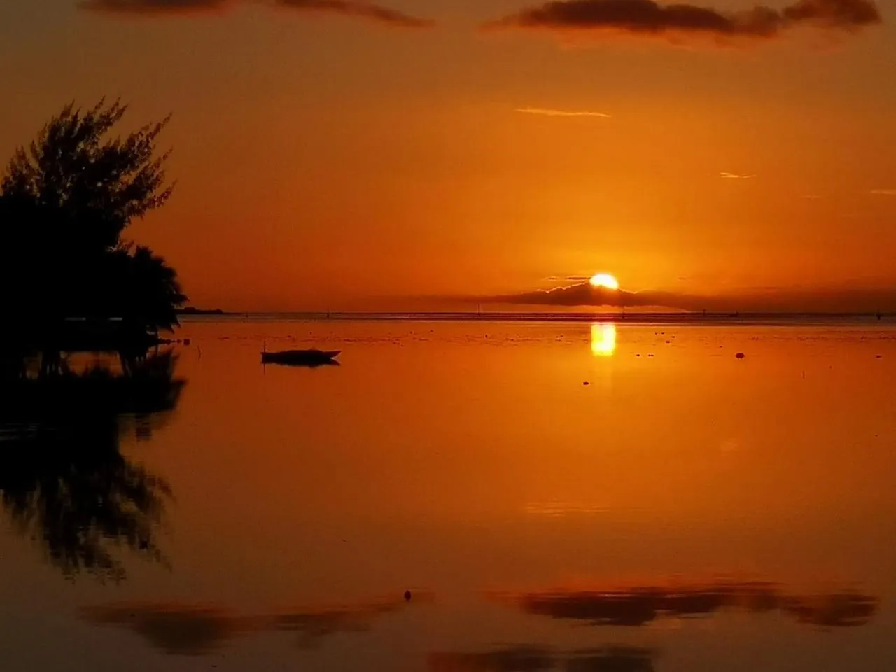 Lagoon Dream Moorea